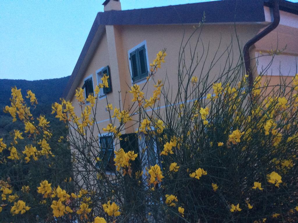 Ca Di Giaco Apartment Moneglia Exterior foto